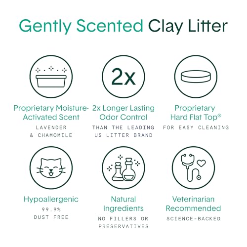 Boxie® Gently Scented 30 Day Natural Odor Control Cat Litter, 16lb Clumping Clay Kitty Litter