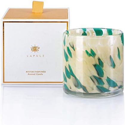Lapule Luxury Floral Scented Candle in Handblown Decorative Glass Jar | Long Burning Aromatherapy Soy Wax Candles with Natural Fragrance Essential Oils | for Women Gifts | Home and Bath Decor