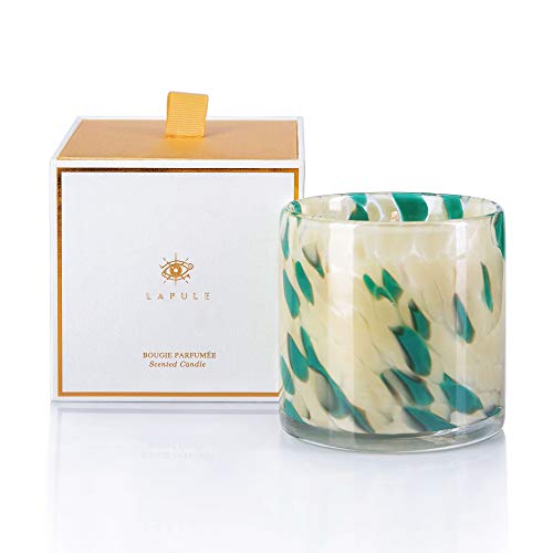 Lapule Luxury Floral Scented Candle In Handblown Decorative Glass Jar | Long Burning Aromatherapy Soy Wax Candles With Natural Fragrance Essential Oils | For Women Gifts | Home And Bath Decor #TOP2