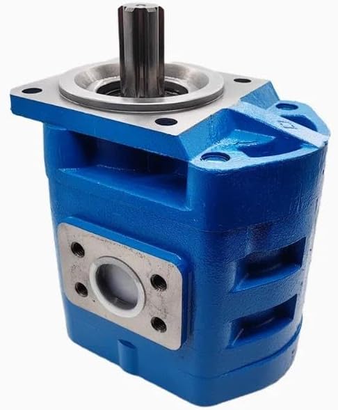 Compatible for TUOMUSI Gear Pump Oil Pump CBG3100 CBG3125 CBG3140 CBG3160 CBG3180 CBG3200 CBGJ/JHP (CBGJ3180)