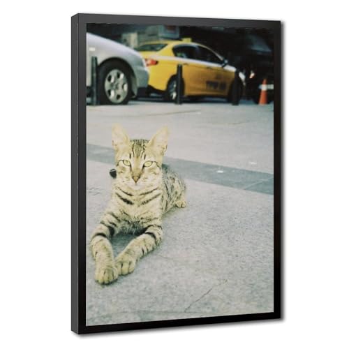 Toile de chat de rue poétique - Tableau mural déco pour chambre