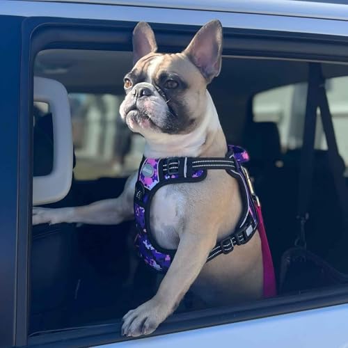Image of AUROTH Tactical Dog Harness for Small Medium Large Dogs No Pull Adjustable Pet Harness Reflective K9 Working Training Easy Control Pet Vest Military Service Dog Harnesses (S, Purple Camo)