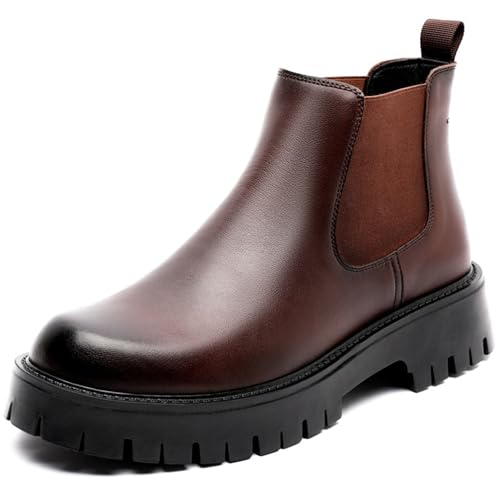 [J-WEWIN] TChSAu[c `FV[u[c Y {v [Jbg vC u[c rWlXu[c JWAC ~p  ʋ ʊw gbLO IV  _炩 h