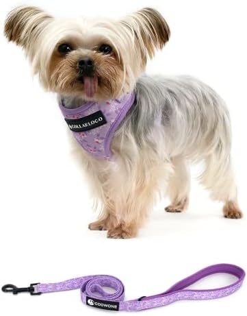 bird dog leashes
