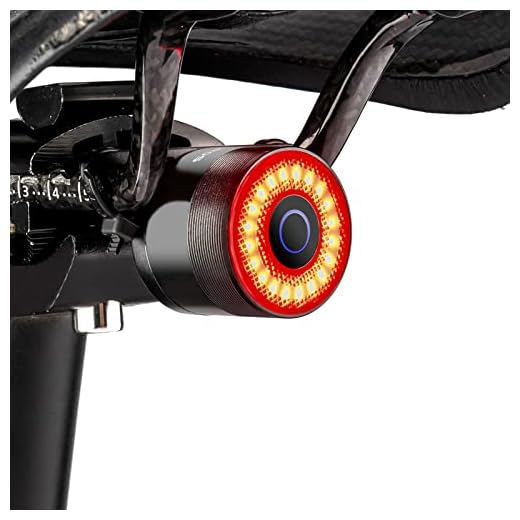 ROCKBROS Bike Tail Light, Rechargeable Bicycle Taillight, Auto On Off Sensor IPX6 Waterproof Bike Rear Lights for Night Riding and Bicycle Safety, 4 Light Modes Cycling Safety Light