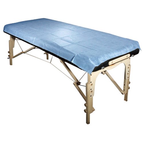 Royal MassageUniversal Disposable Waterproof Flat Table Sheets - Blue, Set of 10