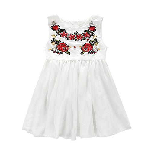 Diamondo Infantil Meninas Vestido de Véu Branco Diamante Floral Saia de Vestido de Princesa (Idade (
