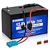 DC HOUSE 12V 12Ah Ride On Toys LiFePO4 Lithium Battery Kit with Wire Harness Connector & DC Port,5000+ Cycles Rechargeable Battery, Built-in 15A BMS for Kids Tractor, Fish Finder, UPS