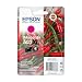 Produktbild Epson Original 503XL Tinte Chili Singlepack Magenta XL, XP-5200 XP-5205 WF-2960DWF WF-2965DWF, ReadyPrint Flex-Tintentarife