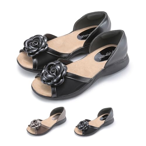 [xCVA] HapiLabo RT[WT_ fB[X T_ ubN M