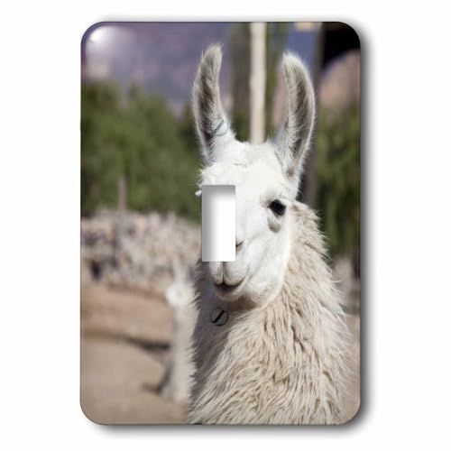 Interrupteur à bascule simple d'art Jutta Riegel Llama Herd Jujuy Argentine