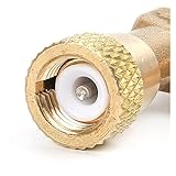 冷凍充電エアコンアダプターの R410A R22 1/4 "液体安全バルブホースR22銅アダプター (Color : R22 To R22)