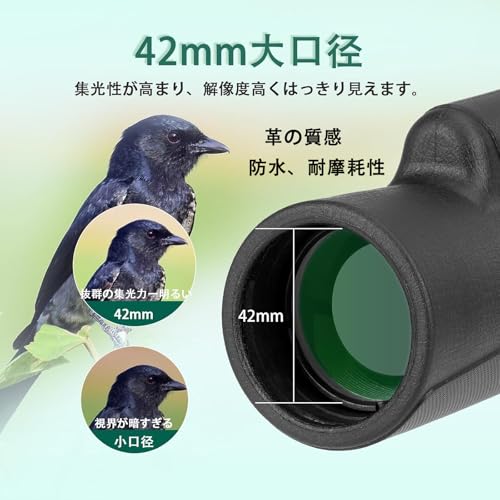 SVBONY SX32 10x 42mm の商品画像 1