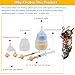 YeulYuuri Pet Feeding Bottle and Syringe Set for Puppies and Kittens(1 Bottles,2 Syringes,6 Nipples) Blue