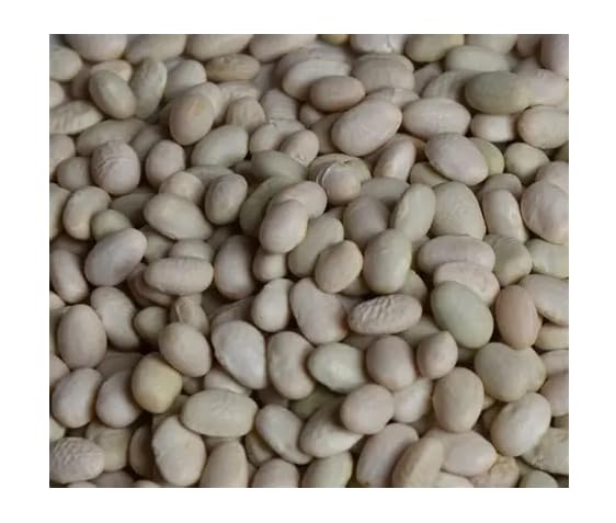 White Tepary Bean Seeds, 12 Count, Well-Draining Soil, Full Sun to Partial Shade, Spring Planting, Outdoor Use