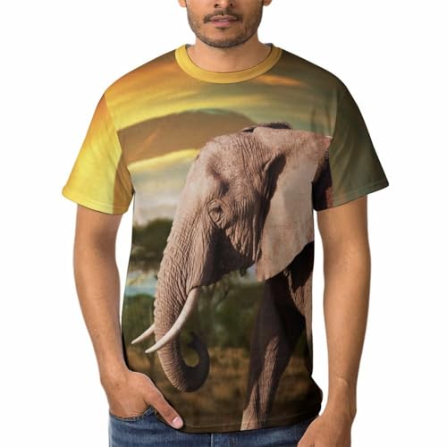 T-shirt éléphant coucher du soleil homme parfait pour vos vacances d'été à la plage