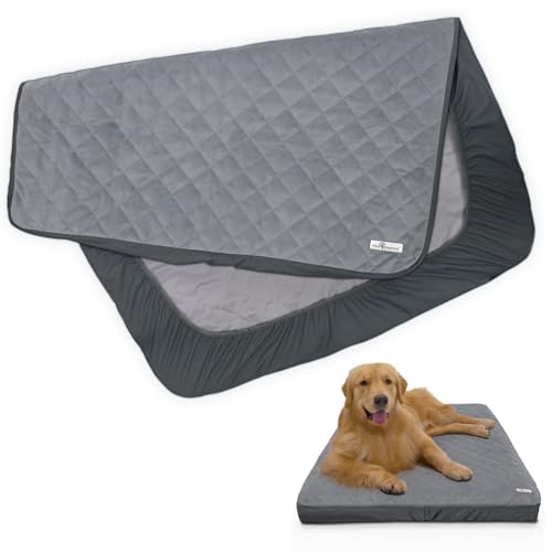 Paw Inspired Waterproof Fitted Cover for Dog Bed | Washable Bed Protector for Dog Mattress | Removable Replacement Cover for Large to XL Pet Bed (Gray, 44 x 35 x 6 Inch)