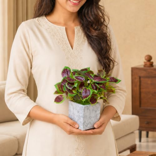 Image of fancymart Artificial Plant with Real-Touch Leaves in Pot, 25 cm, Indoor Tabletop Item for Home Decor, Office, Living Room