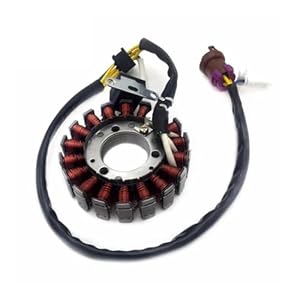Linhai 260cc Magnetischer Motor Stator Tchuyan