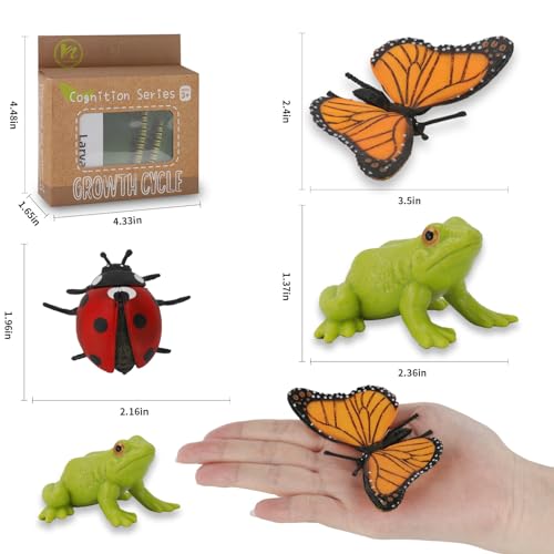Boticako JX-230521 Montessori Life Cycle Learning & Education Toys - Plastic Insect Ladybug, Monarch Butterfly, And Tadpole-To-Frog Kit thumb #5