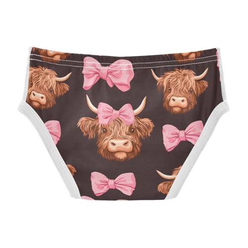 Highland Cows Bows Toddler Boy's Underwear 2T 202c01392