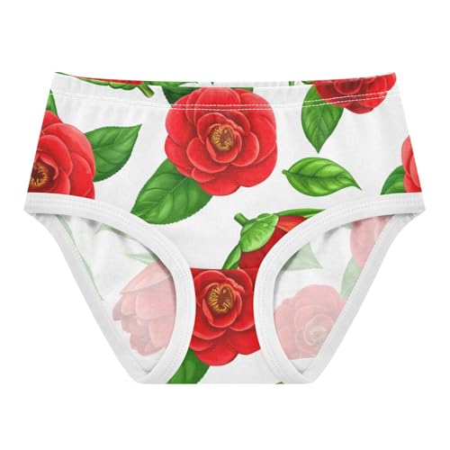 Red Floral Green Leaves White Toddler Girls Underwear 2t Cotton Panties Little Girl Designer Kids Undies Briefs