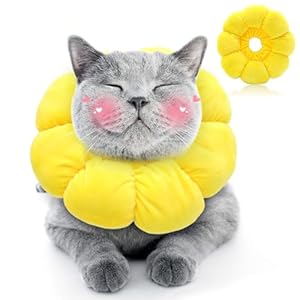 Mowuvai Sonnenblume Halskrause Katze 1stk