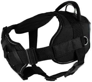Dean & Tyler Fun "Certified Service Dog" Dog Harness with Padded Chest Piece, Fits Girth Size 34-Inch to 47-Inch, X-Large, Black with Reflective Trim