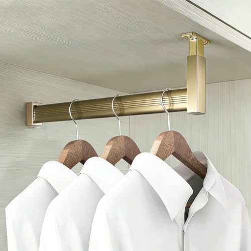 Blazea Barra para Armario en Forma de L, Barra Corta para Armario de Altura Ajustable con Soportes, Barra de Aluminio para Colgar Ropa(Champagne,32in(81.3cm))