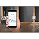resideo Wi-Fi/WLAN Wasser- und Frostmelder mit Kabelsensor, weiß, W1KS