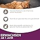 Iams Delights Land & Sea Collection Katzenfutter Nass - Multipack mit Fleisch und Fisch Sorten in Gelee, Nassfutter für Katzen ab 1 Jahr, 12 x 85 g