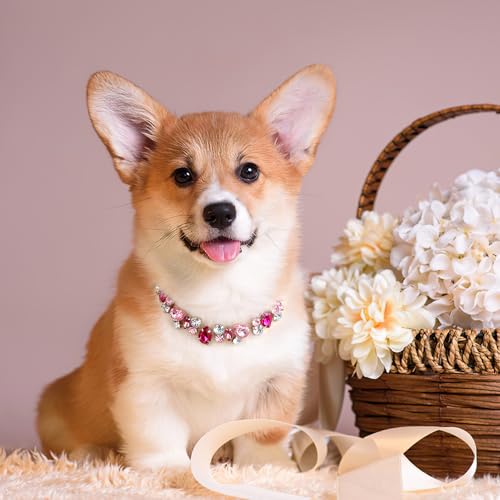 Image of HOWWFALY Dog Collar and Cat Collar Gold Chain Necklace Stainless Steel Adjustable Pink Diamonds Collar with Cute Pet Paw for Small Medium Pets Cats Dogs Kitten Puppy(Pink, L)