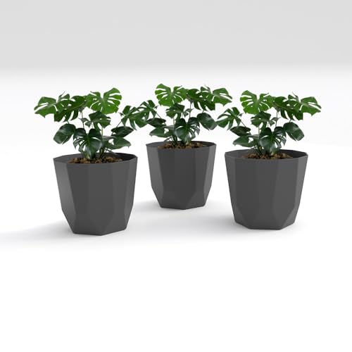 Image of YUCCABE ITALIA SHERA Hexa Plastic Planter Pot for Plants | Decorative Flower Pot | UV Protected Lightweight Indoor Outdoor Gamla for Home Decor, Balcony, Garden & Living Room