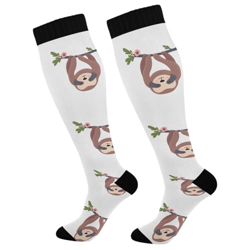 1 Pair Unisex Compression Crew Knee Soft Circulation Socks High Sock Long Athletic for Running,Travel,Cycling Print Sloth On Tree Trunks Seamless On White