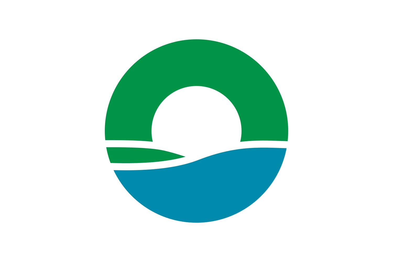 Drapeau Hokota Ibaraki grand format drapeau japonais régional pour extérieur