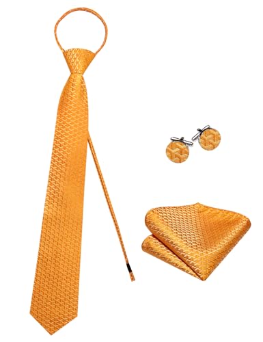 Image of Hi-Tie Zipper Ties for Men Pre-tied Tie Set Lapel Pin Pocket Square and Cufflinks Formal Business Wedding Adjustable Necktie