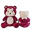 Buy GiftMore™ 40cm (Half Hooded) Teddy Bear in Wine Red Color Stuffed