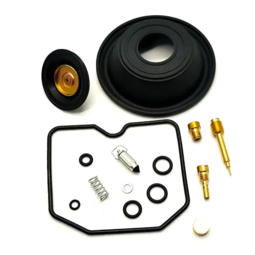 Réparation carburateur KLX650 résout fuite essence et ratés moteur