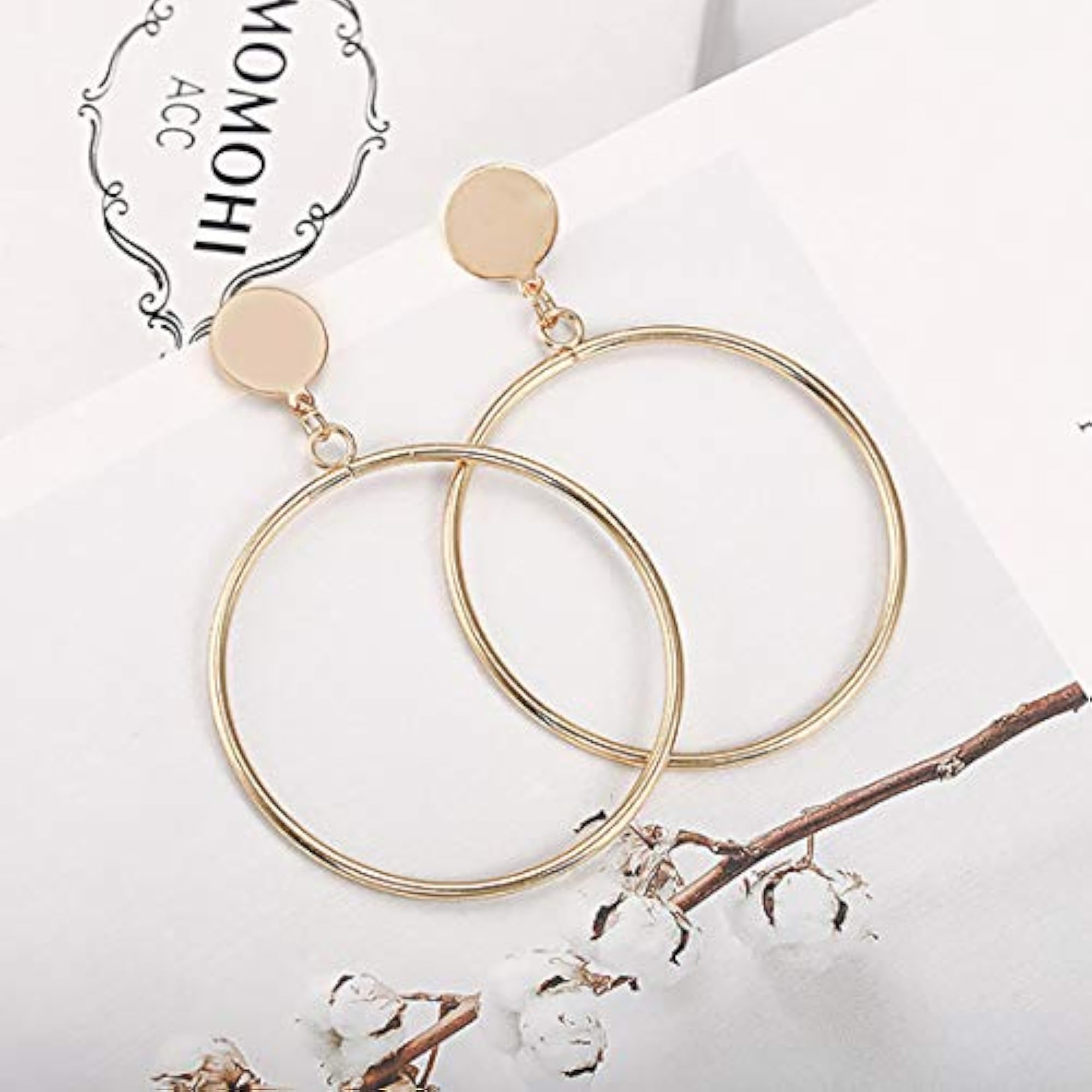 Round Plated Hoop Earrings - CT-ERGG-45063