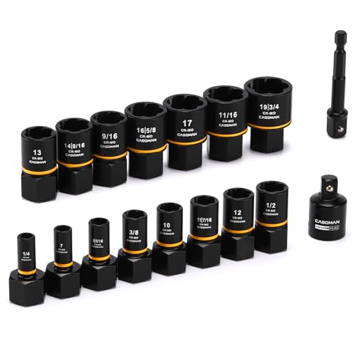 Dados extractores 8 Imagen adicional