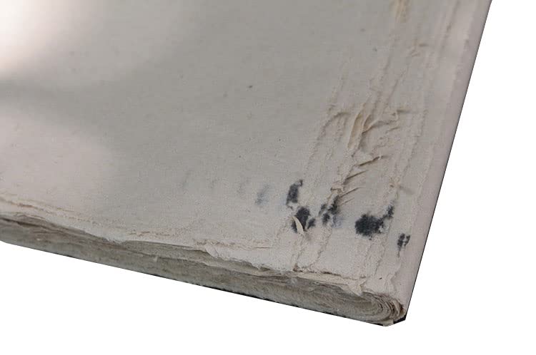 Papel maobiano hecho a mano Xuan de textura media madura y alta absorción para trazos limpios 7