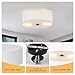 CALOKES Flush Mount Ceiling Light Fixture, 13