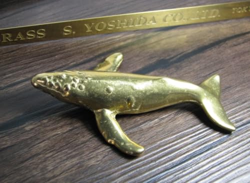 yfbhXgbNzgcOYX ^J~ y[p[EGCgu100 X