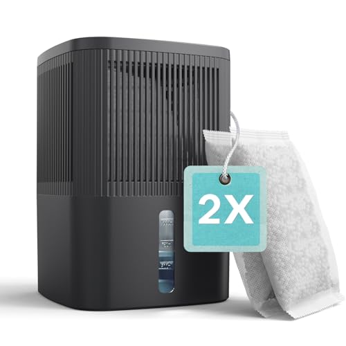 AROEVE Deumidificatore, 450g x 2 Assorbitore di Umidità | Capacità 1000 ml | Protezione di 2 Mesi...