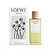 Produktbild Agua De Loewe Edt Vapo 100 Ml