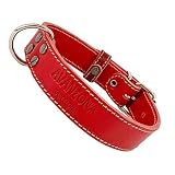 collar perro cuero chile Hecho a mano por maestro español de la piel, calidad garantizada.