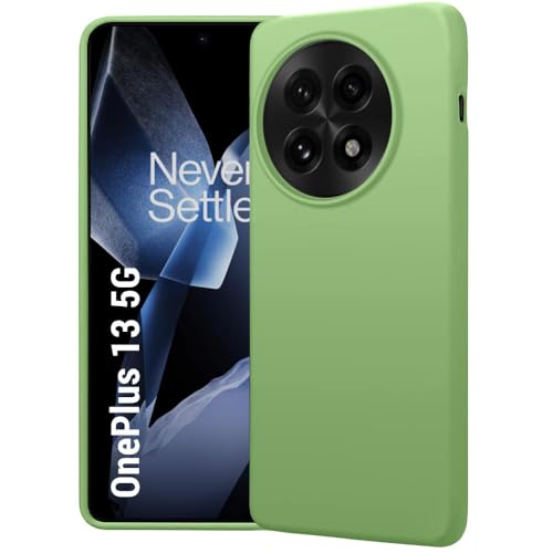 Image of LIRAMARK Liquid Silicone Soft Back Cover Case for OnePlus 13 /1+13 5G (Mint Green)