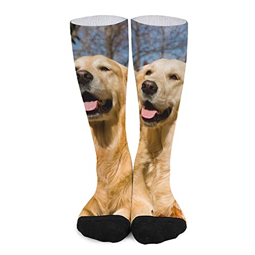 Lustige Socken für den Herbst, Golden Retriever, für Herren und Damen, sportlich, 40 cm Cover