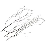 Polyvalentes et adaptées à de multiples usages : nos branches de bouleau pour vases conviennent aux bureaux, aux salons et aux lieux événementiels, créant une atmosphère chaleureuse et accueillante. elles constituent un excellent élément de composition , des branches décoratives pour l’hiver et des tiges artisanales