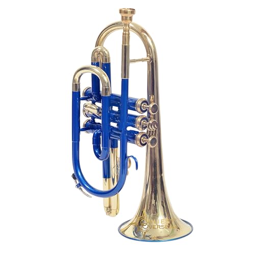 Cornet en laiton avec tuyau en cuivre phosphore anti corrosion